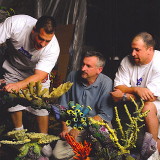 Wayde, Brett