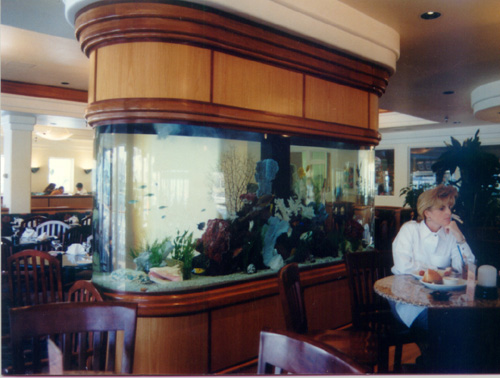 aq11.jpg (81142 bytes)