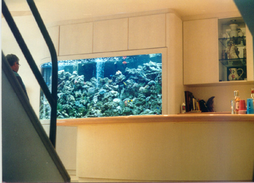 aq12.jpg (73527 bytes)