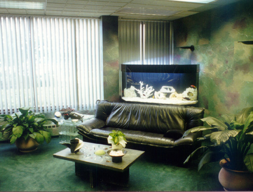 aq13.jpg (85681 bytes)