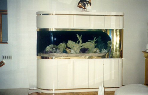 aq15.jpg (50090 bytes)