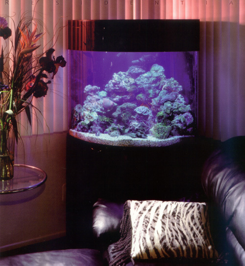 aq3.jpg (85681 bytes)