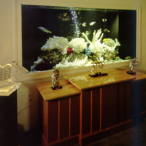 aq4.jpg (77251 bytes)