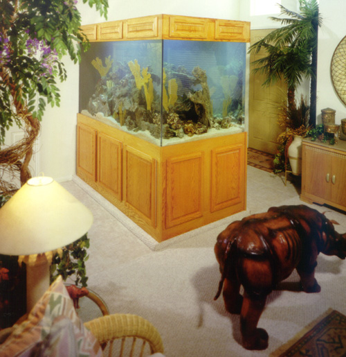 aq5.jpg (50090 bytes)