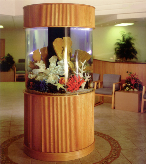 aq7.jpg (104907 bytes)