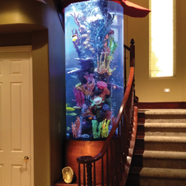 Staircase Tank