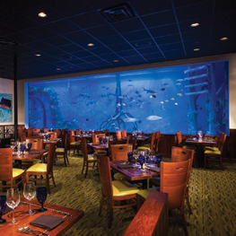 Restaurant Tank
