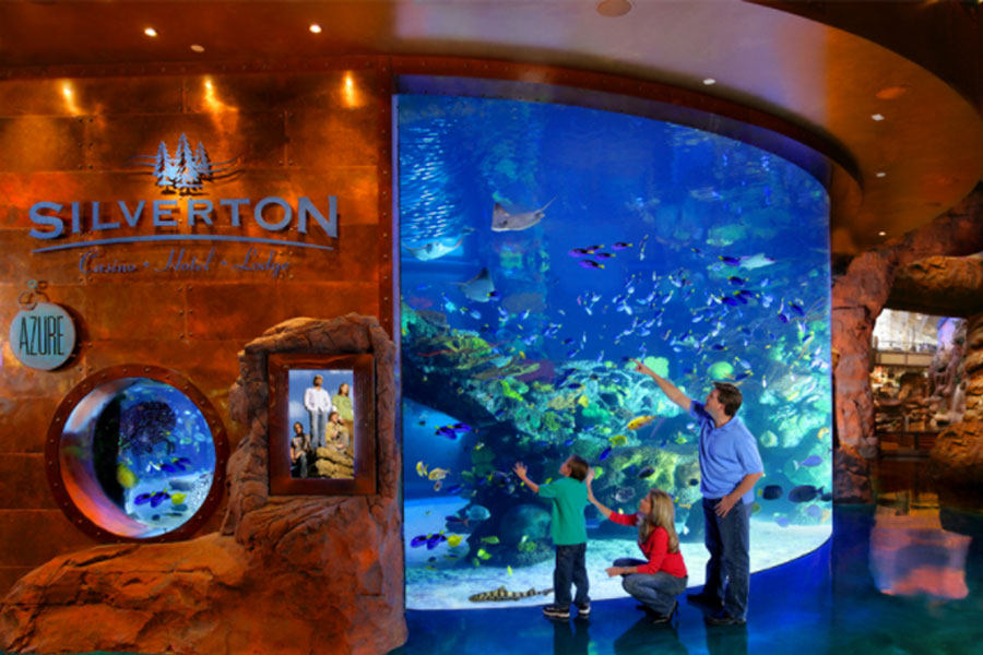 Custom Acrylic Aquariums