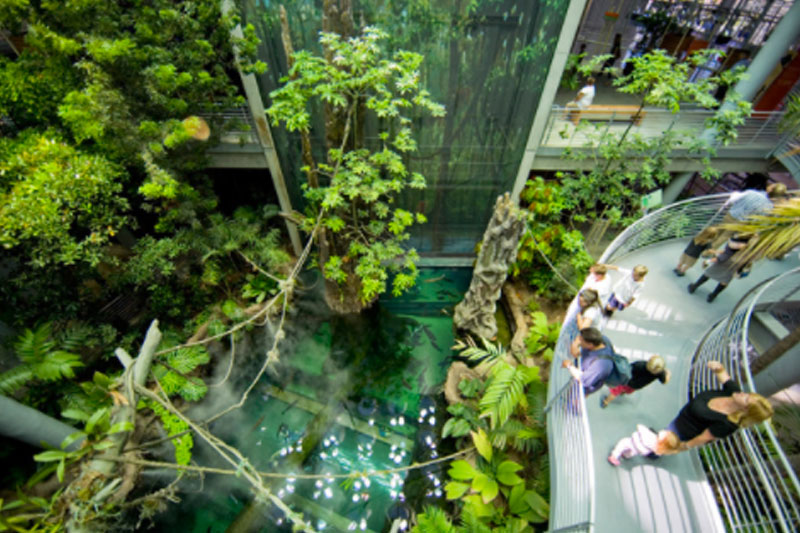 Habitats & Exhibits