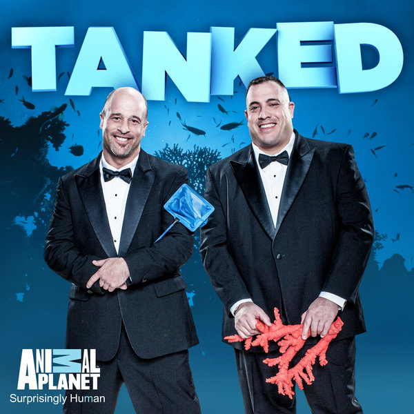 TANKED SEASON 5