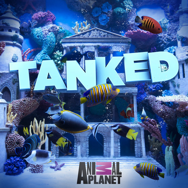 TANKED SEASON 6