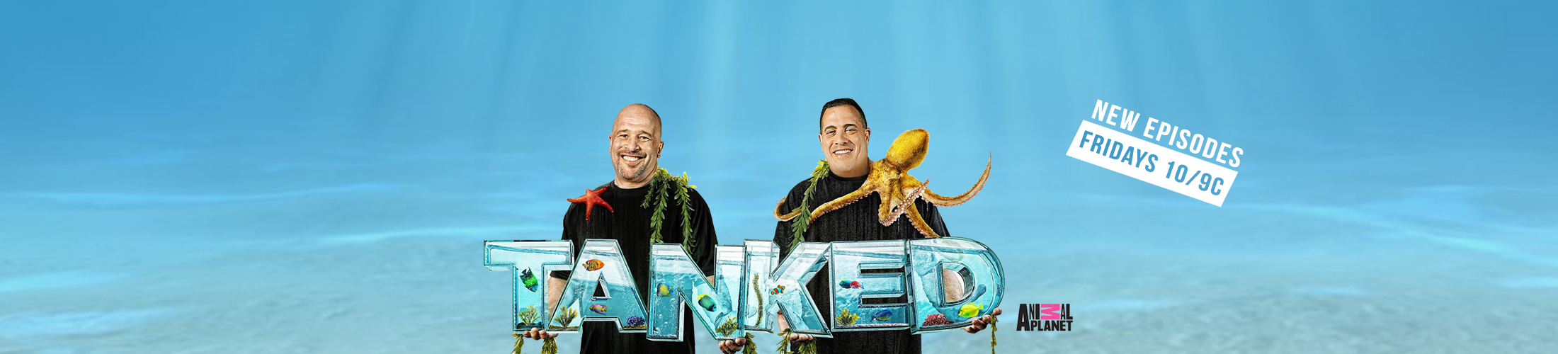 Acrylic-Tank-Manufacturing-Home-of-Tanked-2.jpg