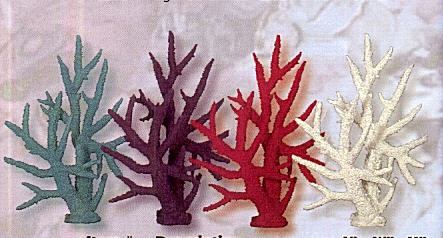 Tall Pacific Elkhorn