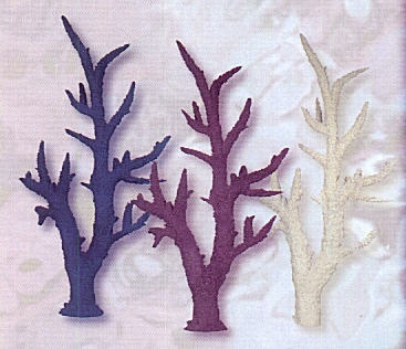 Tall Pacific Staghorn